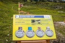 Zauchensee, KUHparKUHr Milchkannenlauf | 02.08.2016 | JPG, 30 x 20, 72dpi | 0.6MB