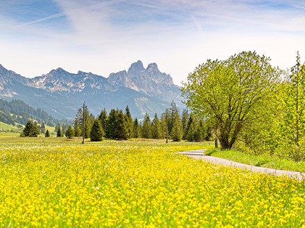 <b>Ab 19. Mai wieder m�glich: Urlaub im Tannheimer Tal</b><p>

