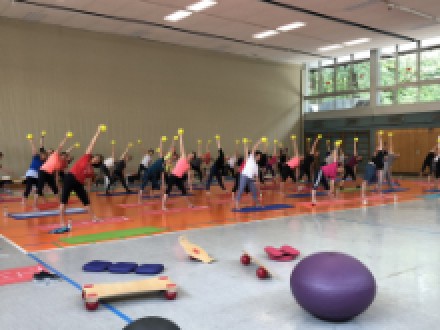 <b>Internationaler TOGU Tag 2019</b>
<br>
„Dein Leben im Gleichgewicht – sensomotorisches Training in Physiotherapie, Sport und Fitness“