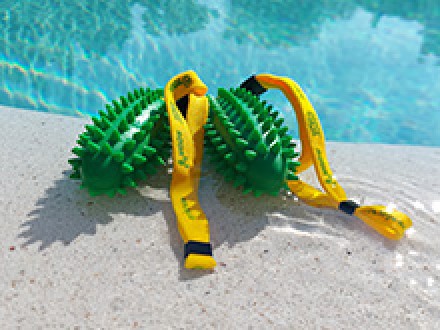 <b>Strengthen deep muscles with the handy Brasil product line</b>
<p>New this summer: The Brasil Aqua for training in the water