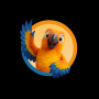SKIP im Kreis
© WinterSummerJobs | 26.03.2026 | png, 1701x1701px, 300dpi | 1.2MB