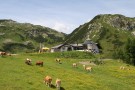 Gamskogelhütte | 14.06.2011 | jpg, 12 x 18 cm, 300dpi | 2.0MB